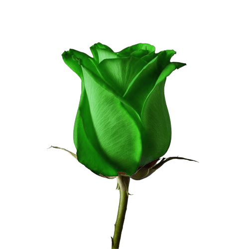 Green Rose